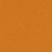 Pebble Small Lexington Tote Bag