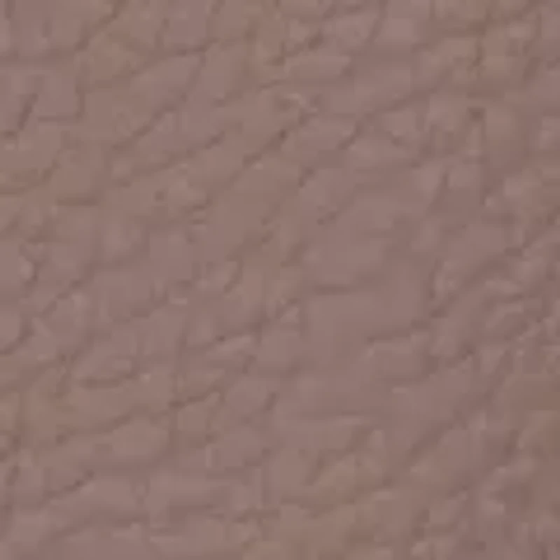 Pebble Small Lexington Tote Bag