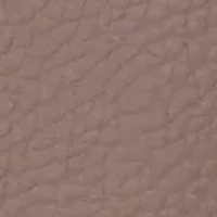 Pebble Small Lexington Tote Bag