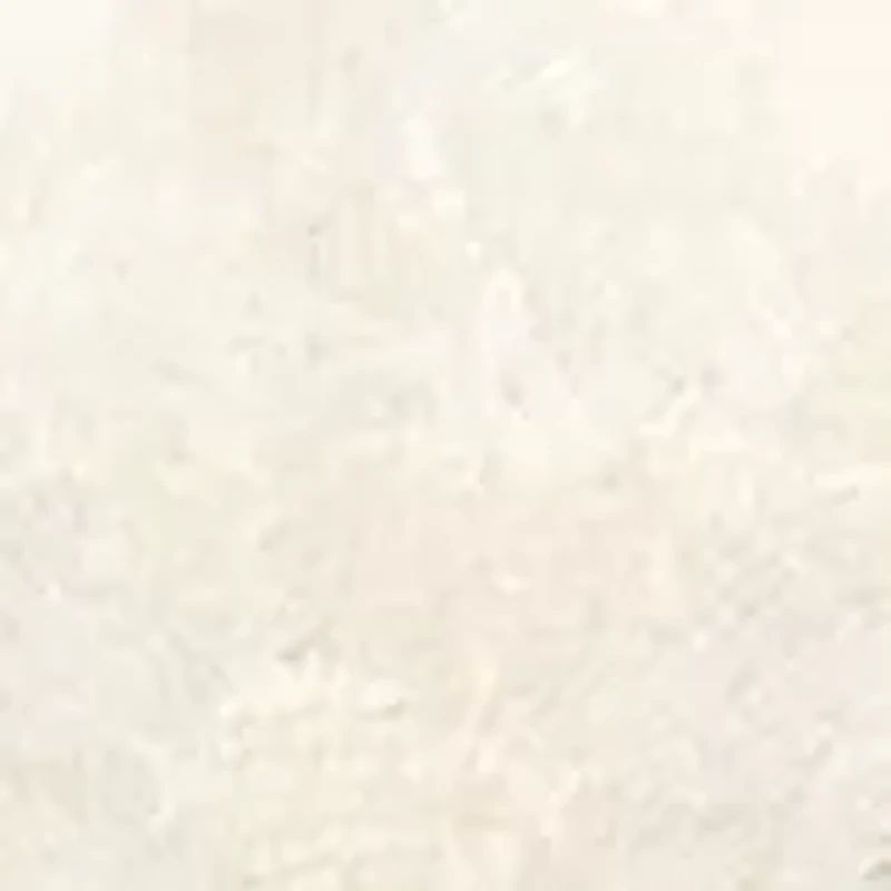 Lace Perfect Edge Liner Socks