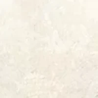 Lace Perfect Edge Liner Socks