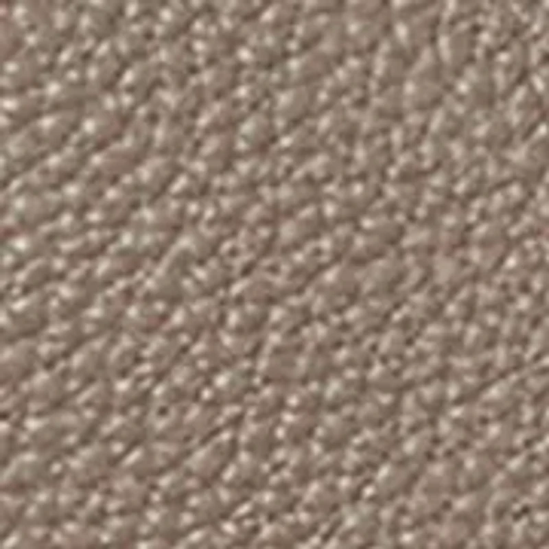 Pebbled Leather Small Cameryn Tote Bag