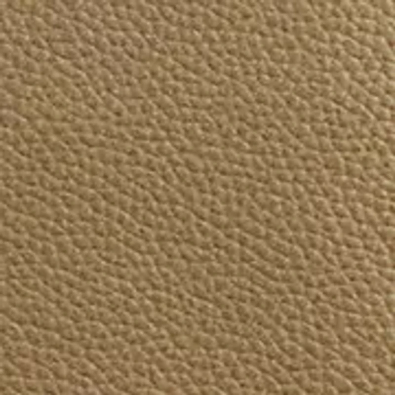 Pebbled Leather Large Cameryn Crossbody
