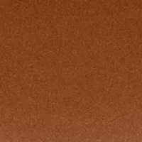 Leather Medium Tasha East-West Bag