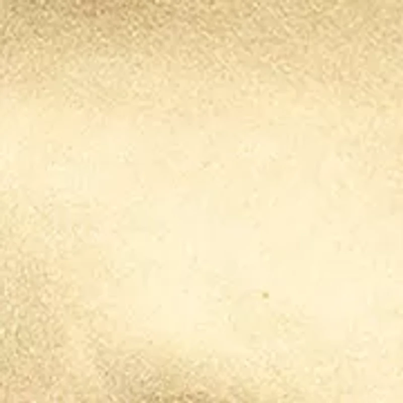 Metallic Nappa Leather Large Pouch