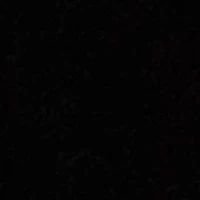 Velvet Mini Zip Pouch