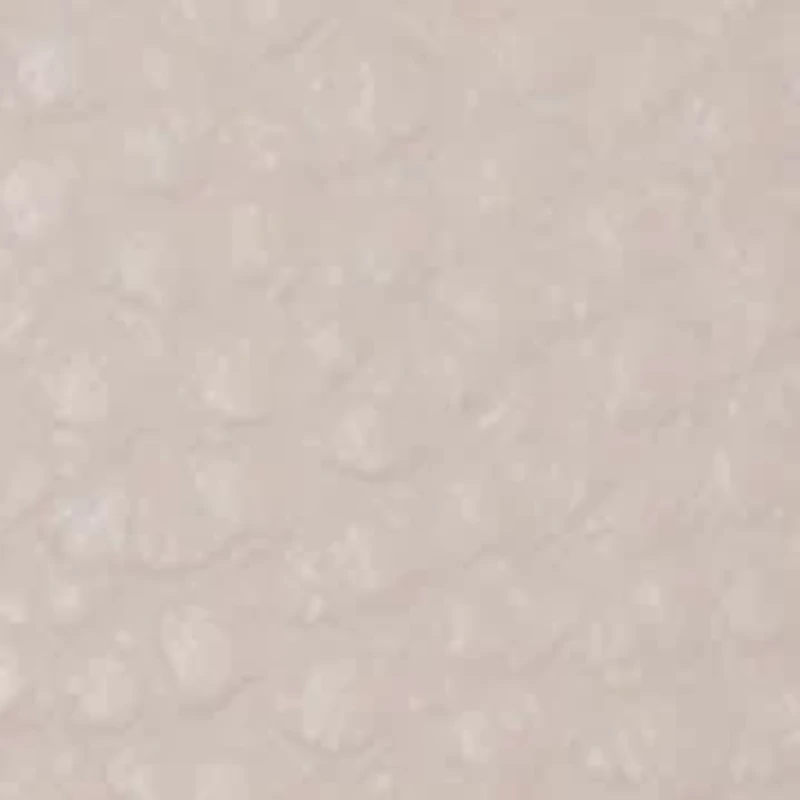 Cornelia Color Blocked Crossbody Wallet