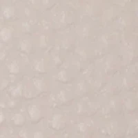 Cornelia Color Blocked Crossbody Wallet