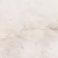 Plush Slippers