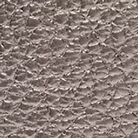 Ria Metallic Crossbody 