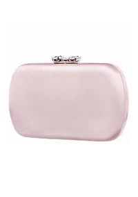 Satin Miniaudiere Clutch