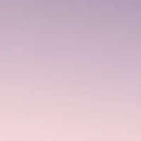 Oval Metal Tipped Sunglasses