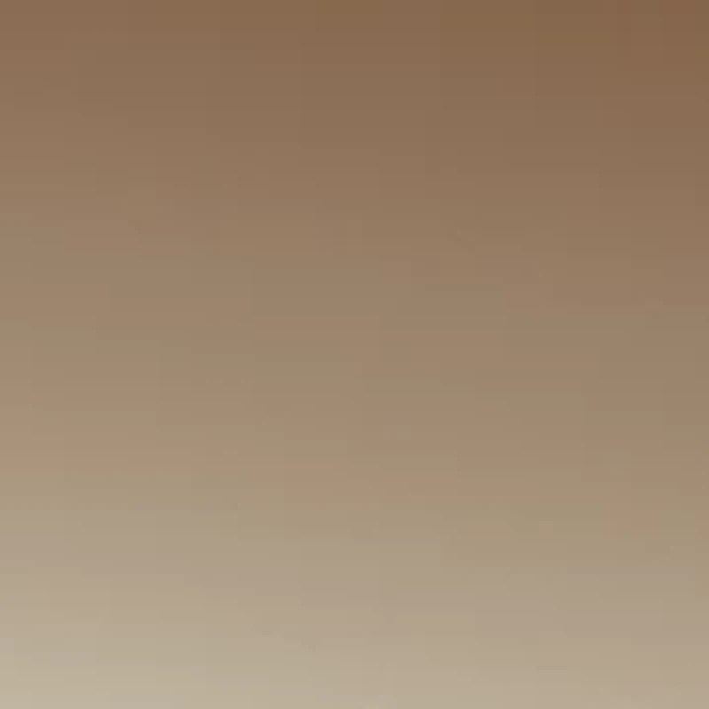 Oval Metal Tipped Sunglasses