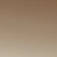 Oval Metal Tipped Sunglasses