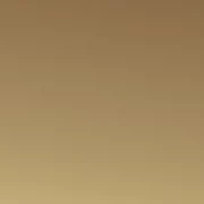 Aviator Metal Tipped Sunglasses