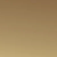 Aviator Metal Tipped Sunglasses