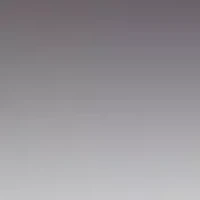 Tortoise Sunglasses