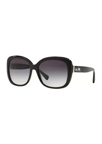 Tortoise Sunglasses