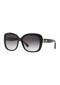 Tortoise Sunglasses