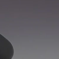 Polarized Sunglasses