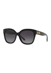 Polarized Sunglasses