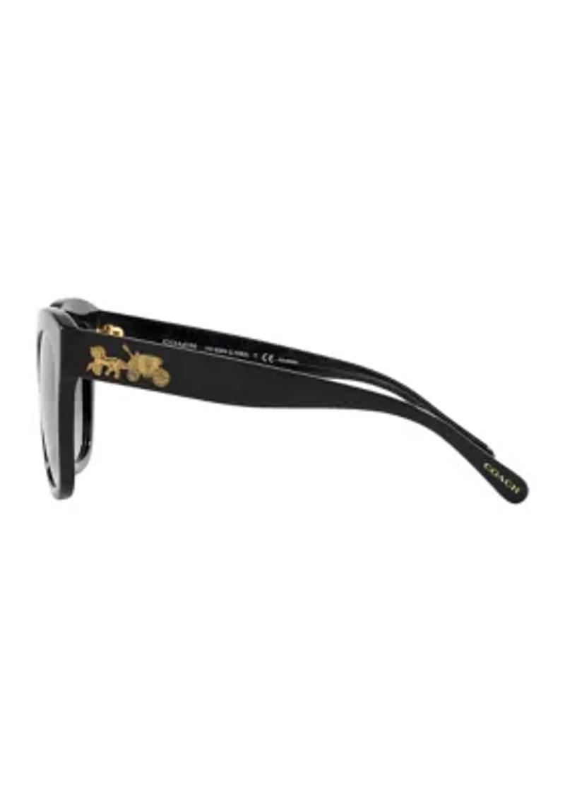 Polarized Sunglasses