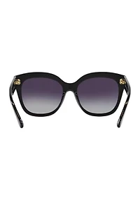 Polarized Sunglasses