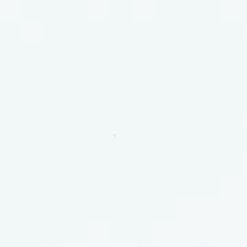 Bow Hobo Shoulder Bag with Card Case