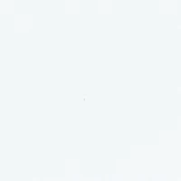 Bow Hobo Shoulder Bag with Card Case