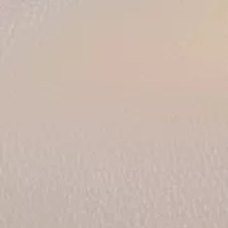 Double Comp Satchel with Woven Chain Handle Flower Lacing Handoff