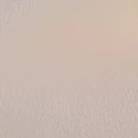 Double Comp Satchel with Woven Chain Handle Flower Lacing Handoff