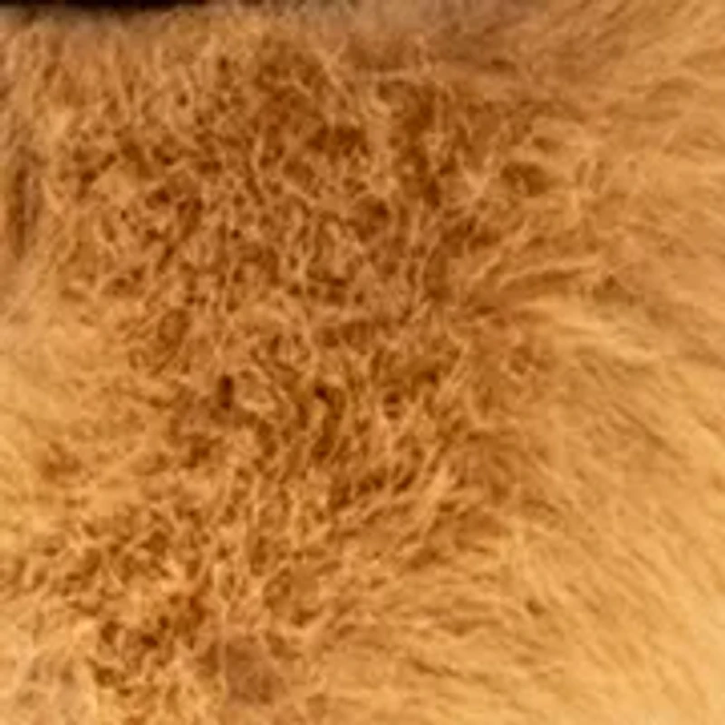 Dog with Glasses and Collar Bag Charm