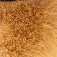 Dog with Glasses and Collar Bag Charm