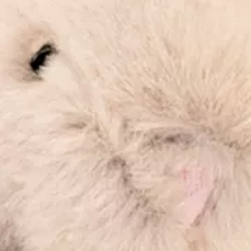 Fur Rabbit Bag Charm