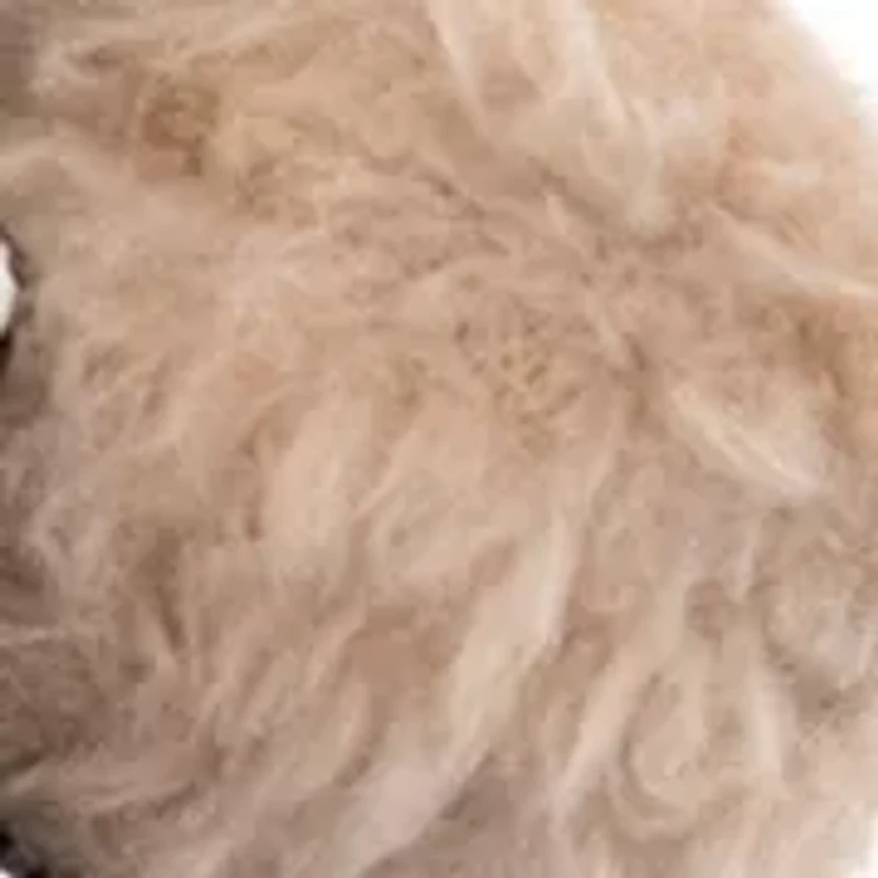 Aviator Bear Bag Charm