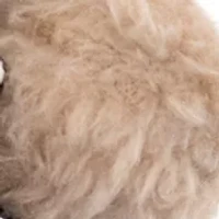 Aviator Bear Bag Charm