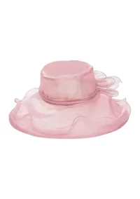 Stiff Organza Wire Brim Dress Hat