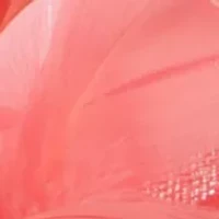 Fascinator Headband with Dainty Feather/Floral Center Accent