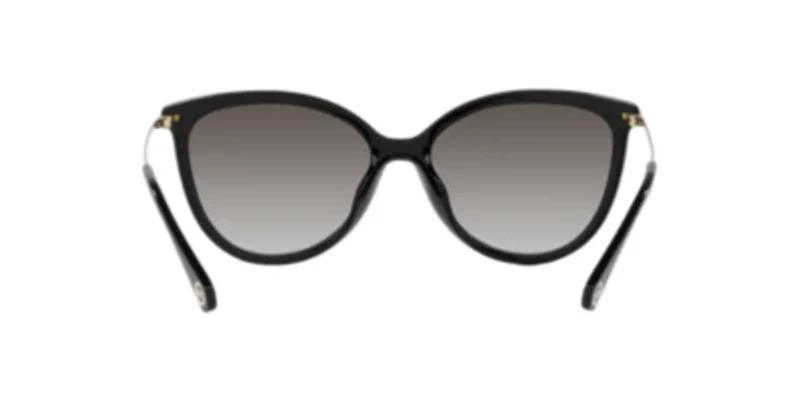 MK2184U Dupont Sunglasses