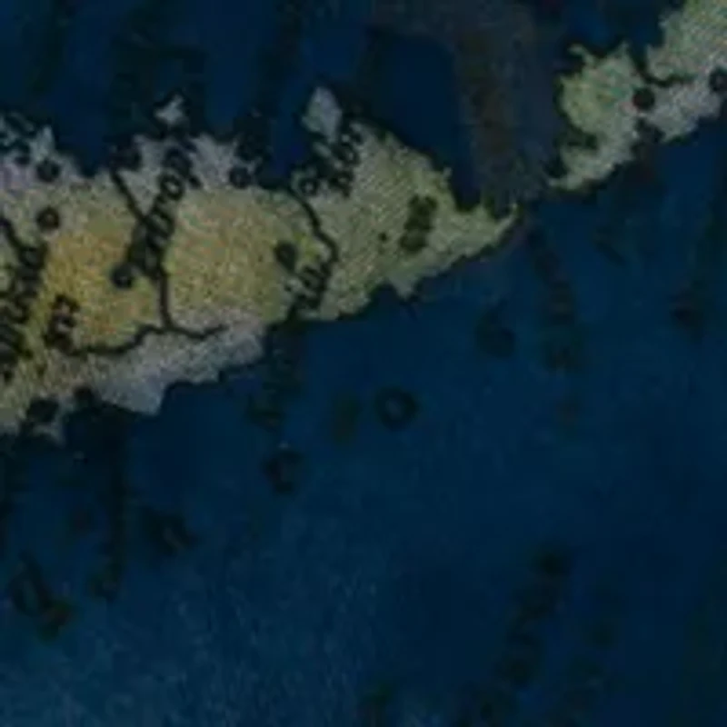 Women's Printed Scarf