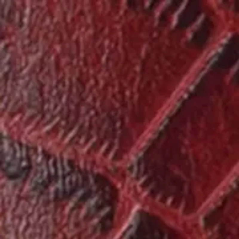 Vietri Crocodile Belt