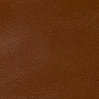 Alexia Tote Bag