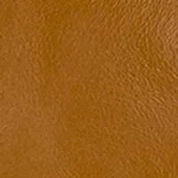 Nathalie Leather Frame Crossbody