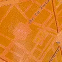 Noeline Tote - Paris Map