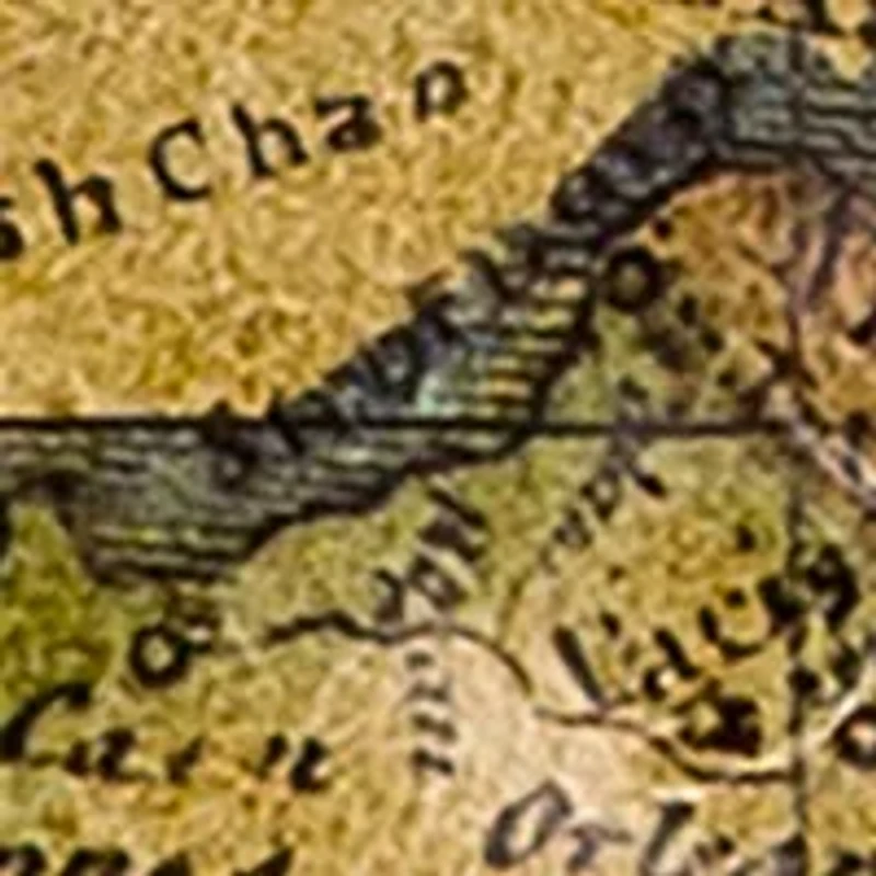  Nazari Bifold Wallet