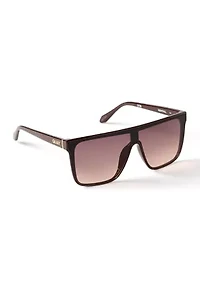 Nightfall Sunglasses 