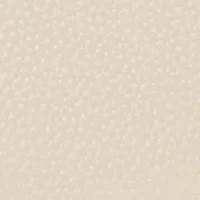 Ezri Roped Crossbody Bag