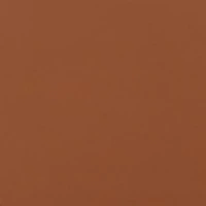 Lexy Crescent Leather Hobo Bag