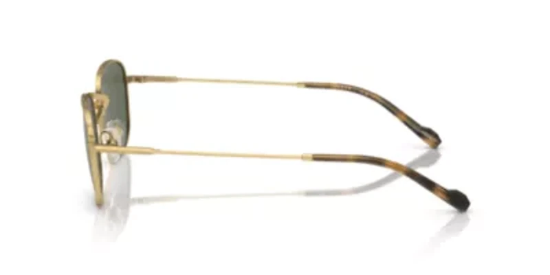 VO4276S  Polarized Sunglasses