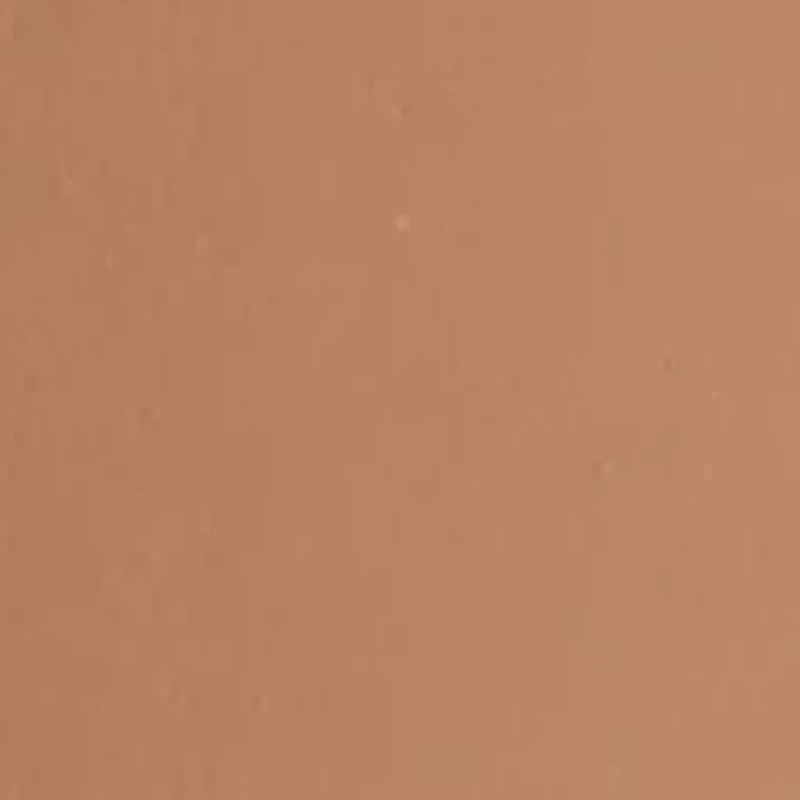 Women's Domed Belt and Rectangular Set